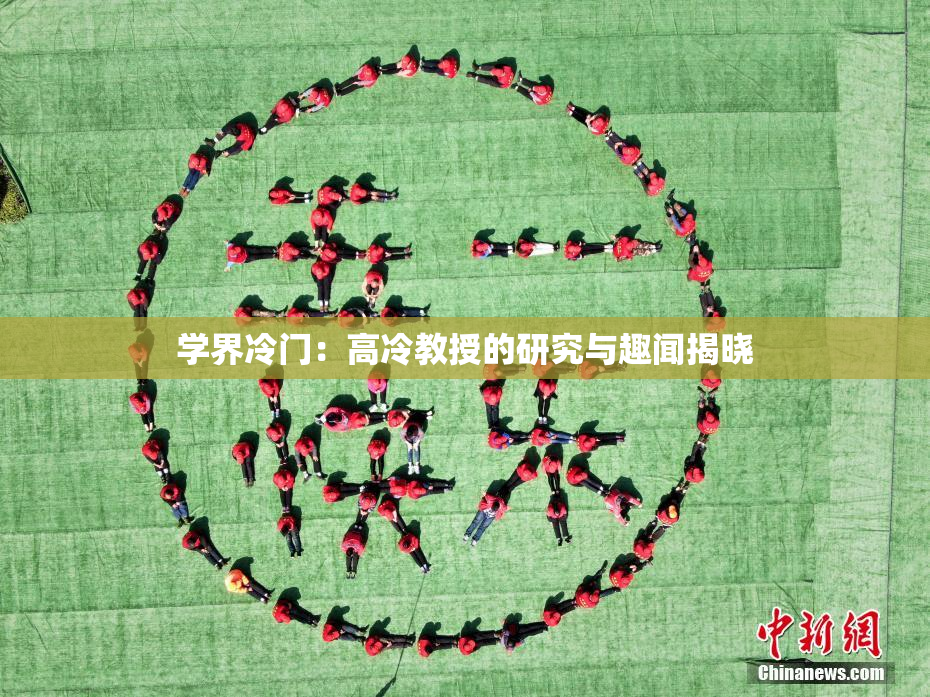 学界冷门：高冷教授的研究与趣闻揭晓