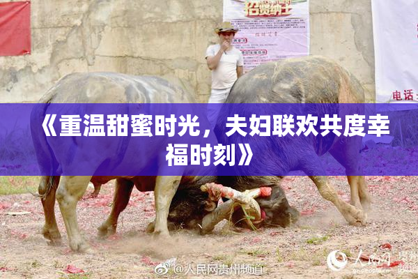 《重温甜蜜时光，夫妇联欢共度幸福时刻》