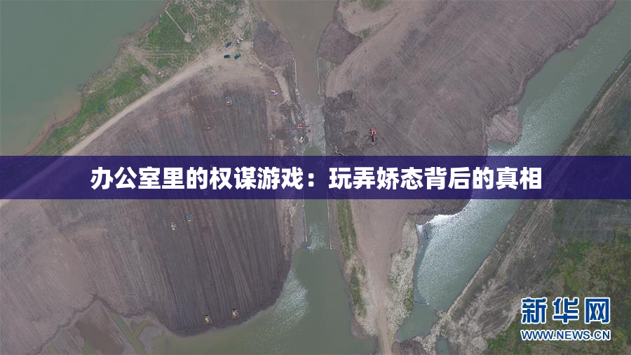办公室里的权谋游戏：玩弄娇态背后的真相
