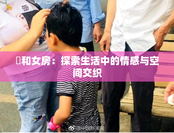 巜和女房：探索生活中的情感与空间交织