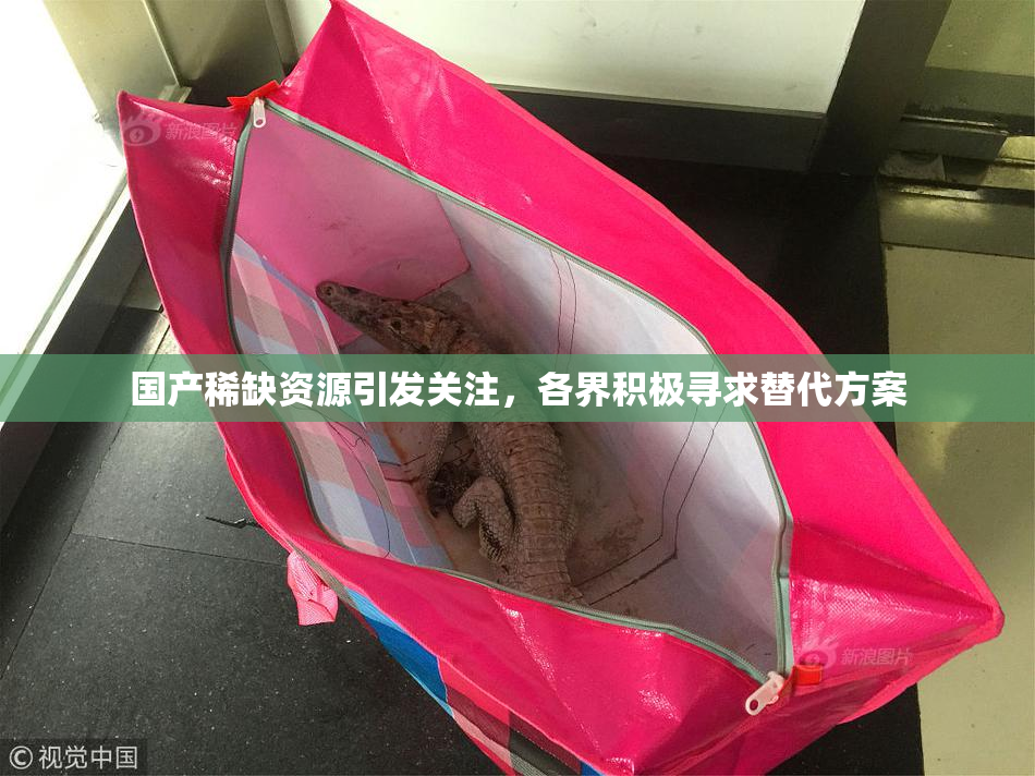 国产稀缺资源引发关注，各界积极寻求替代方案