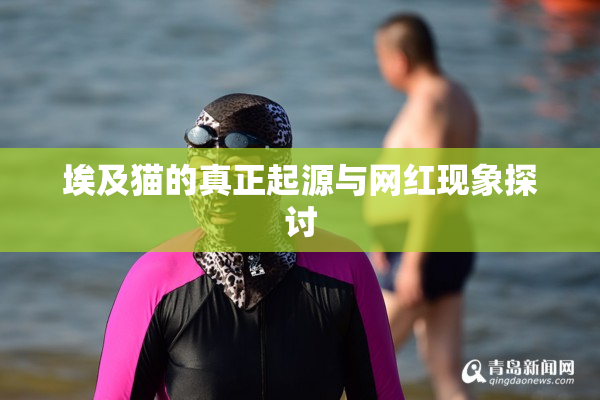 埃及猫的真正起源与网红现象探讨