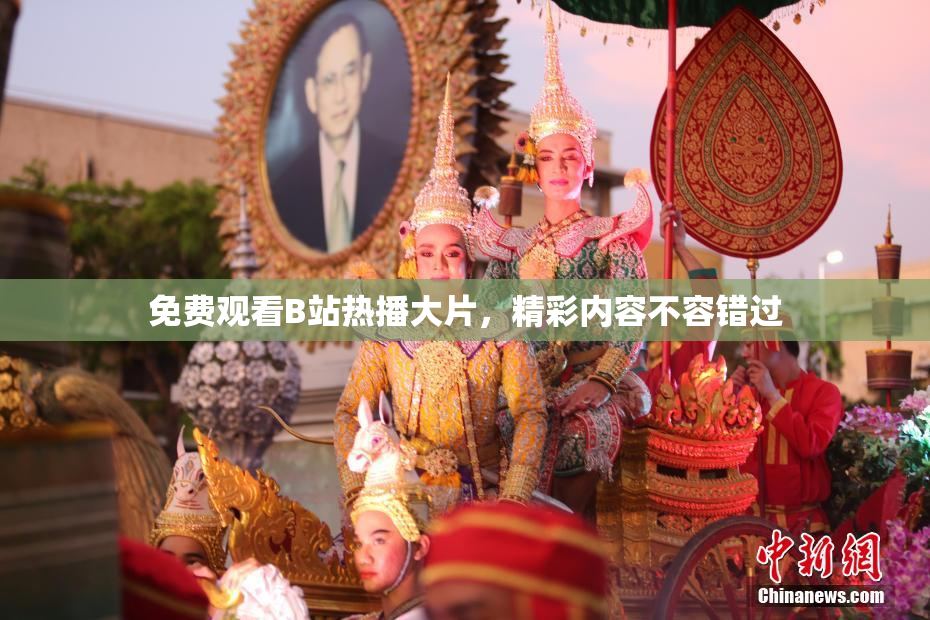 免费观看B站热播大片，精彩内容不容错过