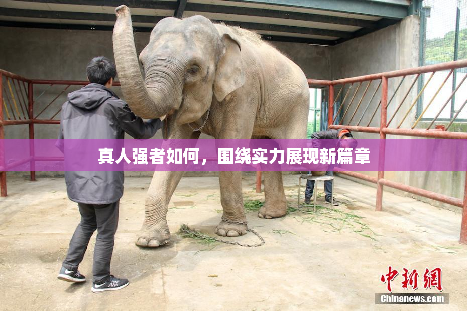 真人强者如何，围绕实力展现新篇章