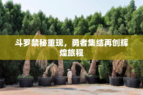 斗罗禁秘重现，勇者集结再创辉煌旅程