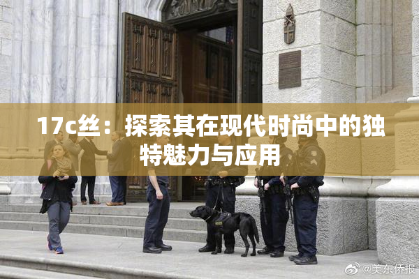 17c丝：探索其在现代时尚中的独特魅力与应用