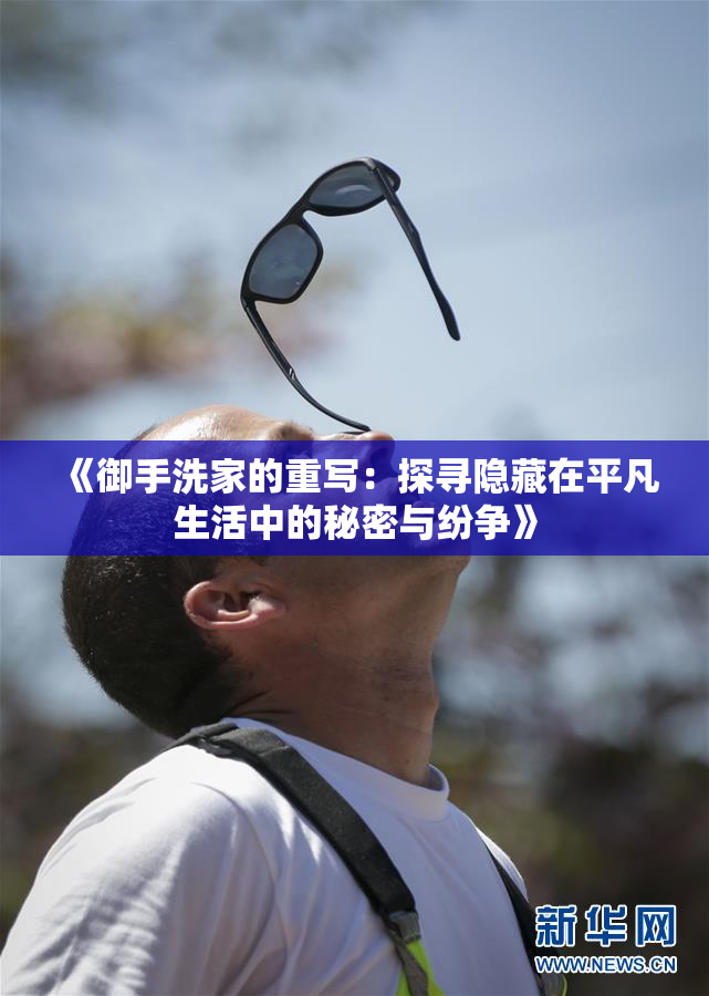 《御手洗家的重写：探寻隐藏在平凡生活中的秘密与纷争》