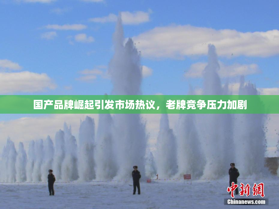 国产品牌崛起引发市场热议，老牌竞争压力加剧