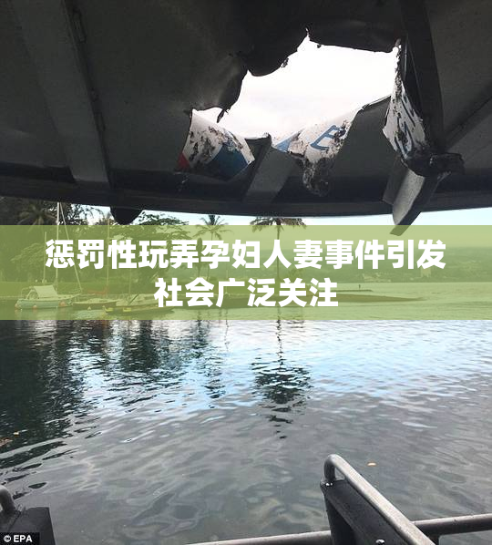 惩罚性玩弄孕妇人妻事件引发社会广泛关注
