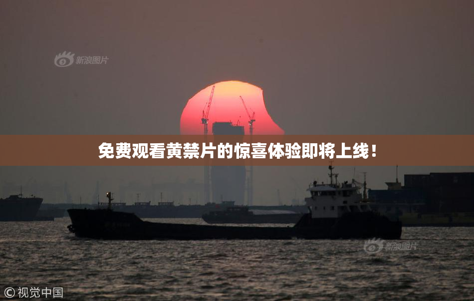 免费观看黄禁片的惊喜体验即将上线！