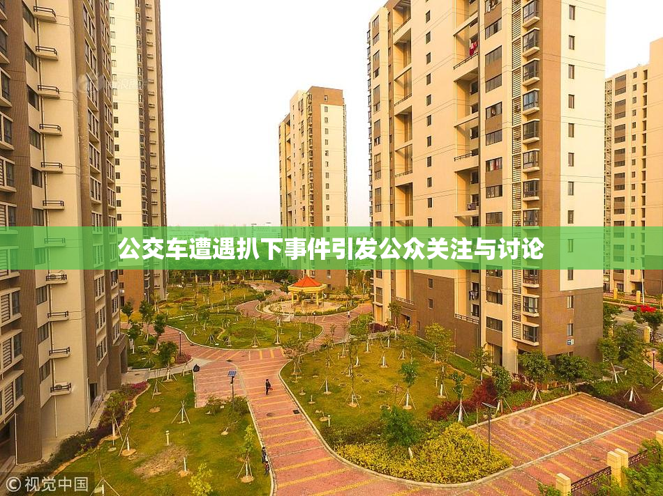 公交车遭遇扒下事件引发公众关注与讨论