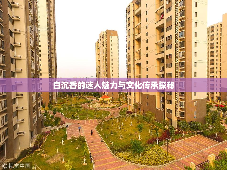 白沉香的迷人魅力与文化传承探秘