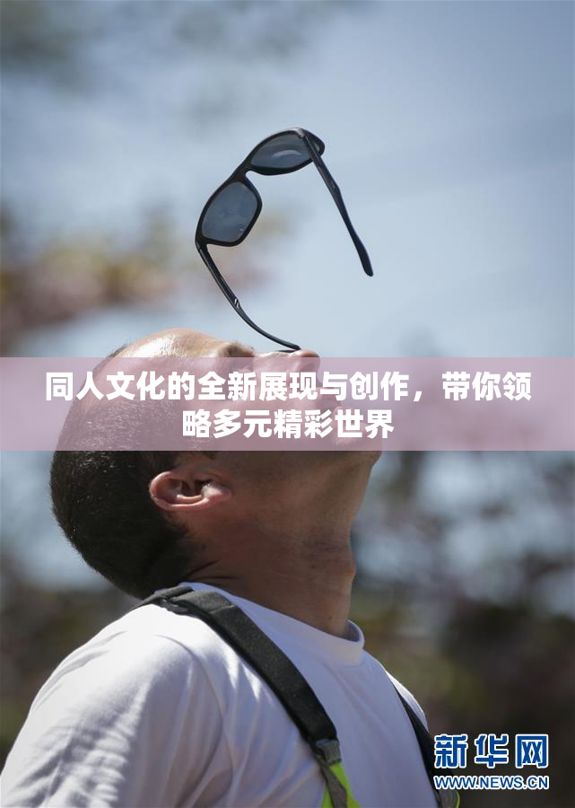 同人文化的全新展现与创作，带你领略多元精彩世界