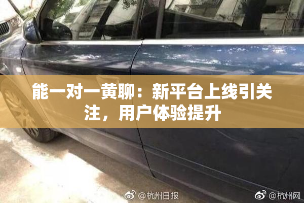 能一对一黄聊：新平台上线引关注，用户体验提升