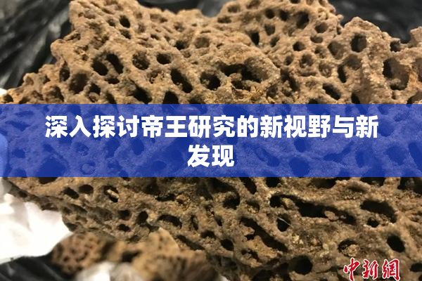 深入探讨帝王研究的新视野与新发现