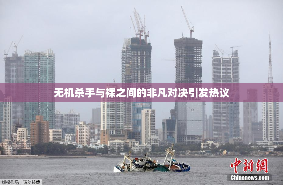 无机杀手与裸之间的非凡对决引发热议