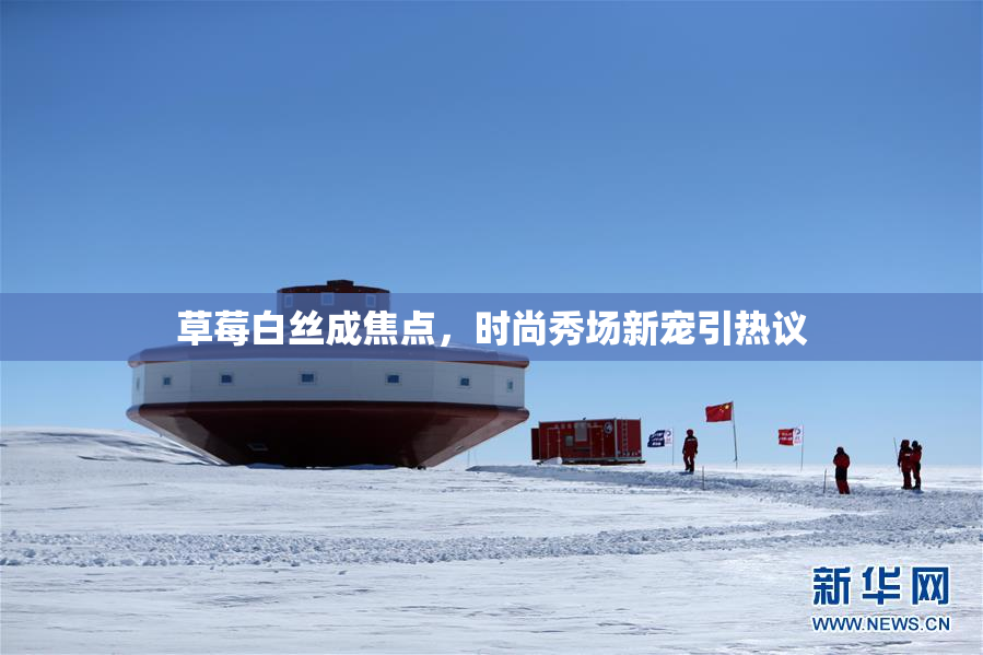 草莓白丝成焦点，时尚秀场新宠引热议