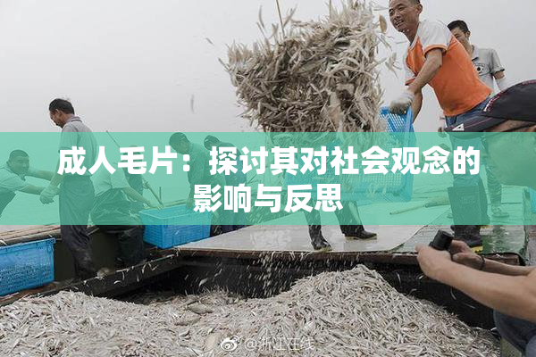 成人毛片：探讨其对社会观念的影响与反思
