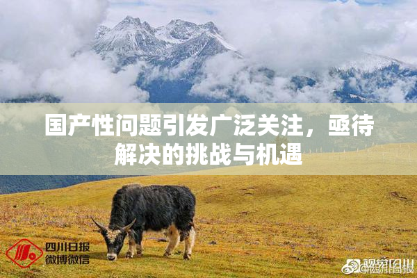 国产性问题引发广泛关注，亟待解决的挑战与机遇