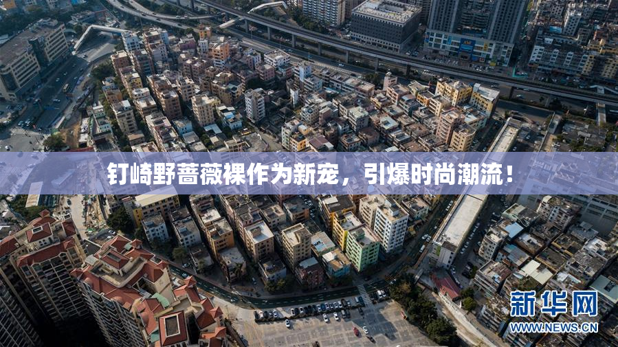 钉崎野蔷薇裸作为新宠，引爆时尚潮流！