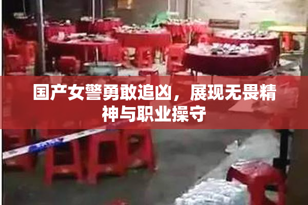 国产女警勇敢追凶，展现无畏精神与职业操守