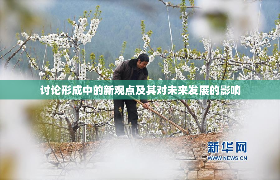 讨论形成中的新观点及其对未来发展的影响