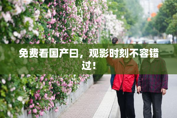 免费看国产曰，观影时刻不容错过！