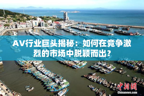AV行业巨头揭秘：如何在竞争激烈的市场中脱颖而出？