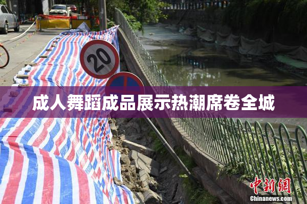 成人舞蹈成品展示热潮席卷全城