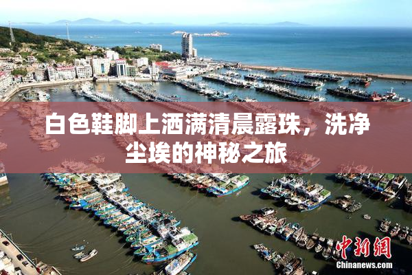 白色鞋脚上洒满清晨露珠，洗净尘埃的神秘之旅