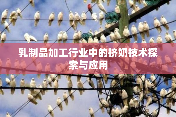 乳制品加工行业中的挤奶技术探索与应用