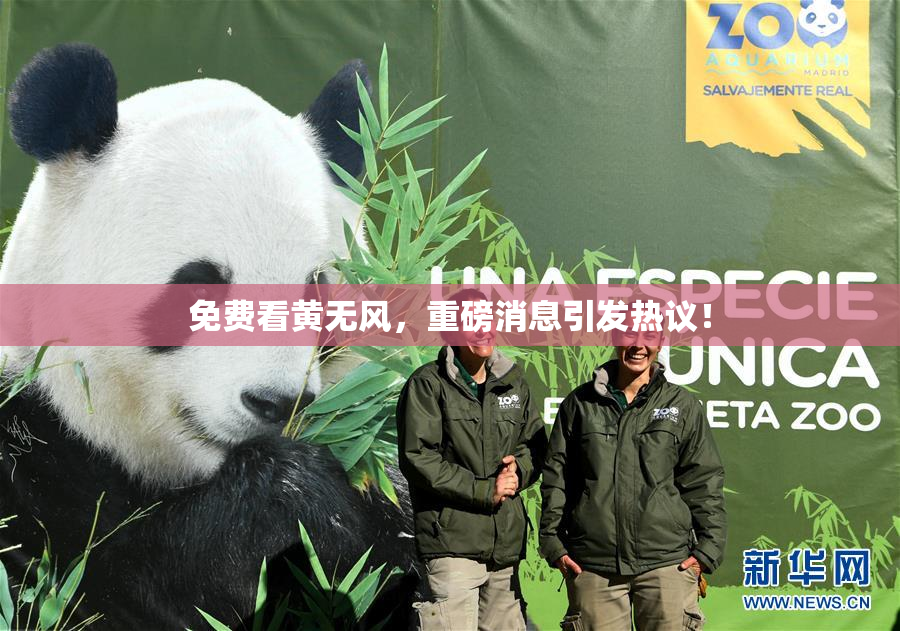 免费看黄无风，重磅消息引发热议！