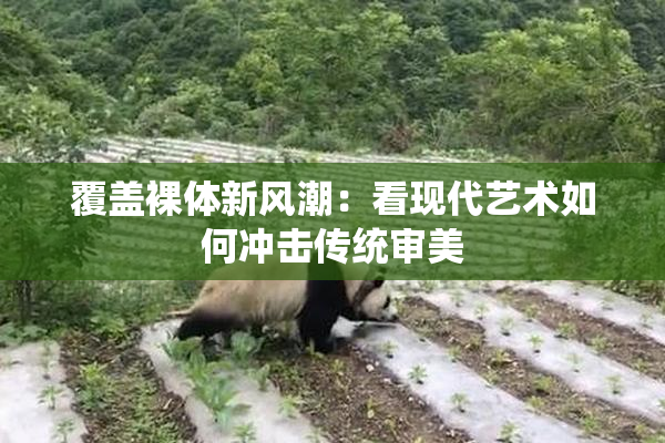 覆盖裸体新风潮：看现代艺术如何冲击传统审美