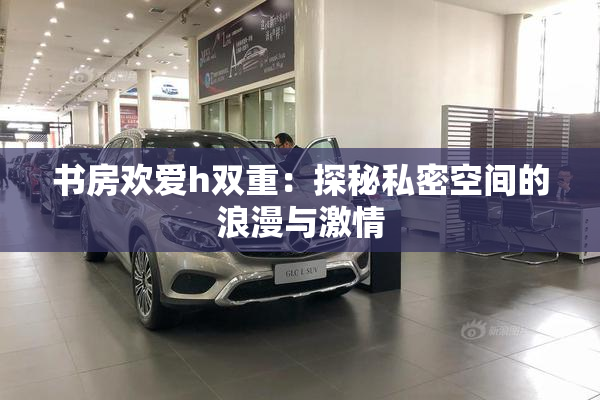 书房欢爱h双重：探秘私密空间的浪漫与激情