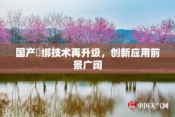 国产梱绑技术再升级，创新应用前景广阔
