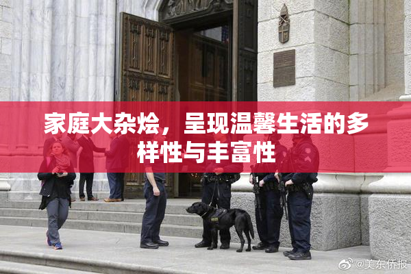 家庭大杂烩，呈现温馨生活的多样性与丰富性