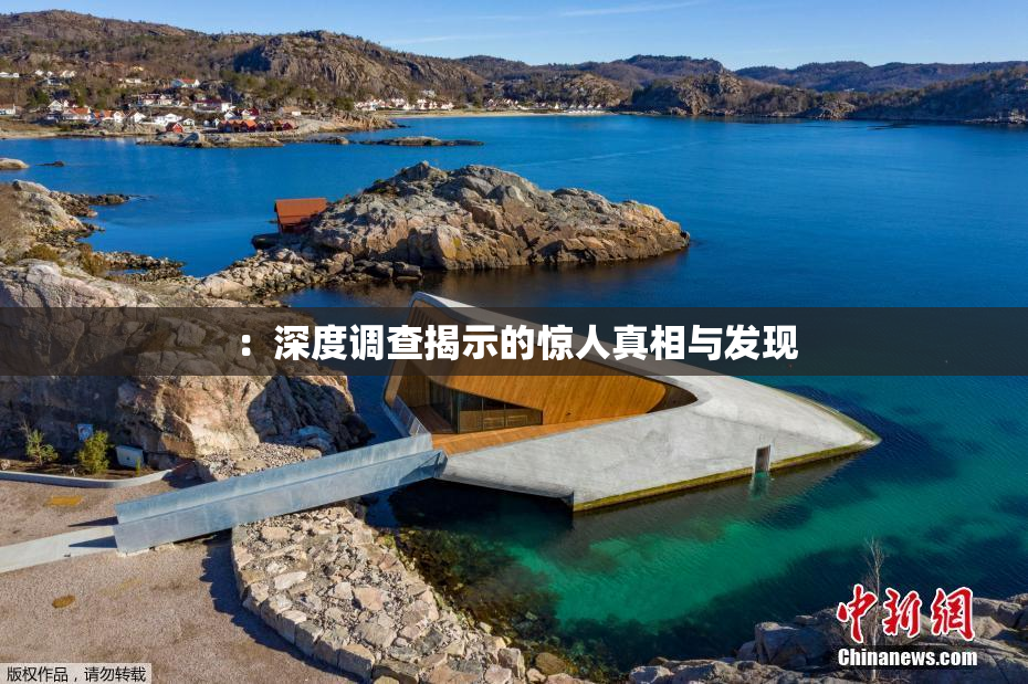 ：深度调查揭示的惊人真相与发现