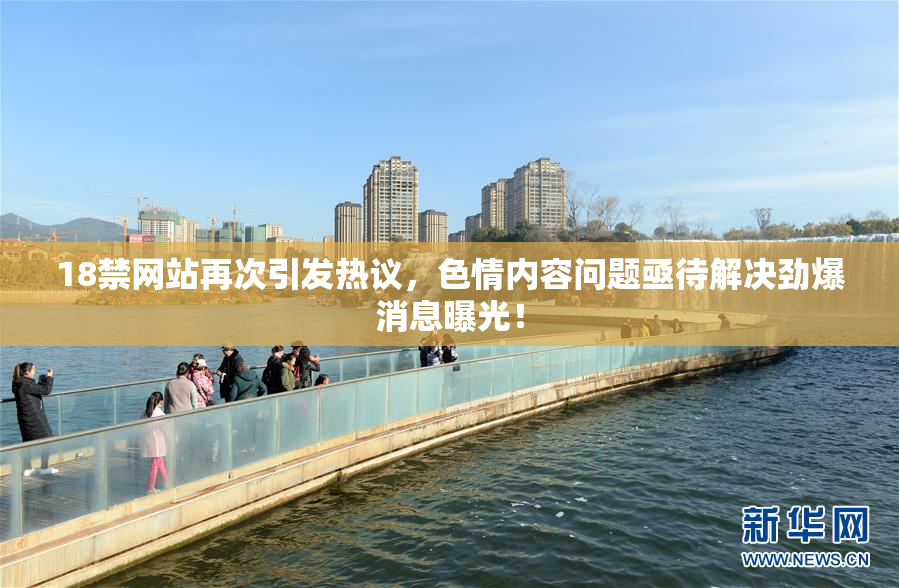 18禁网站再次引发热议，色情内容问题亟待解决劲爆消息曝光！