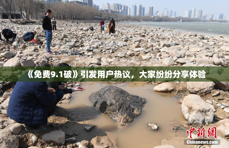 《免费9.1破》引发用户热议，大家纷纷分享体验