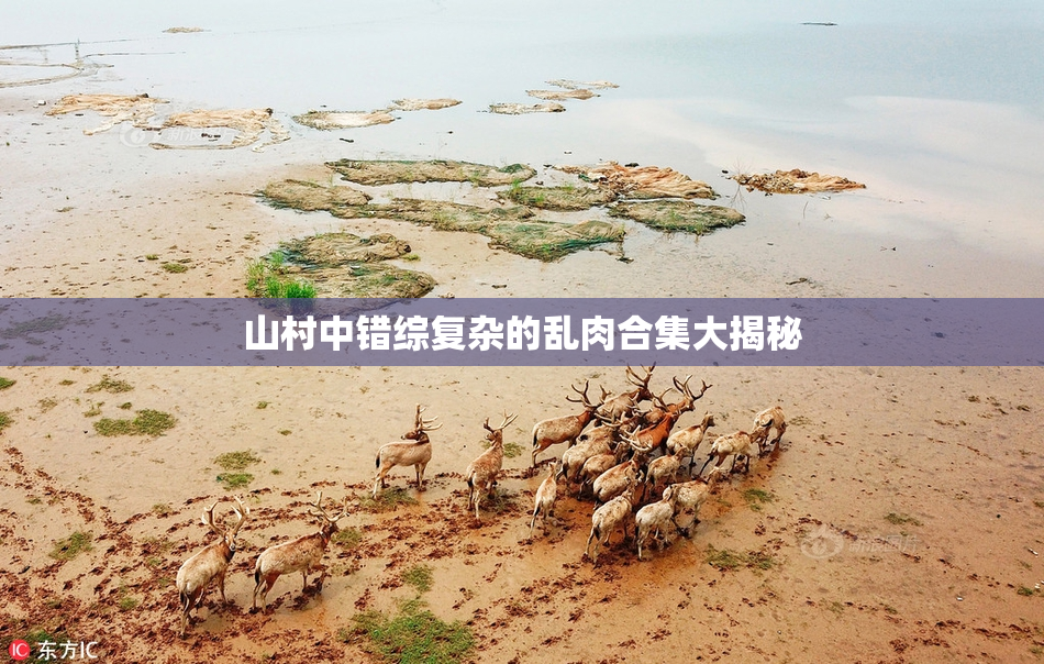 山村中错综复杂的乱肉合集大揭秘