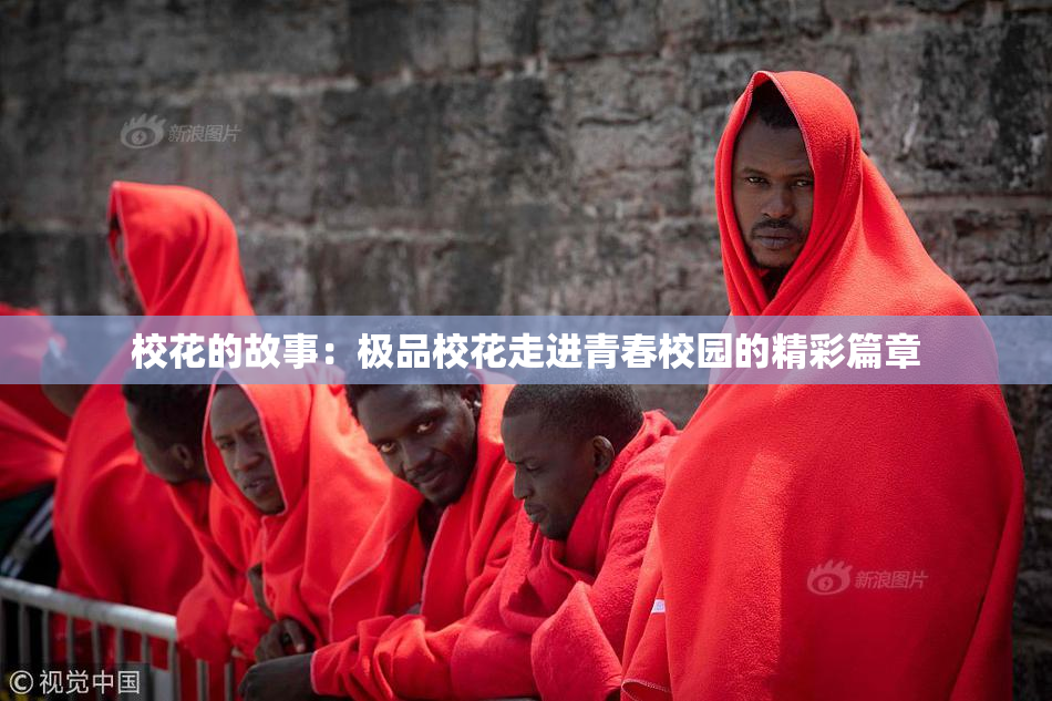 校花的故事：极品校花走进青春校园的精彩篇章