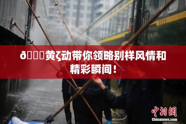 🔞黄ζ动带你领略别样风情和精彩瞬间！