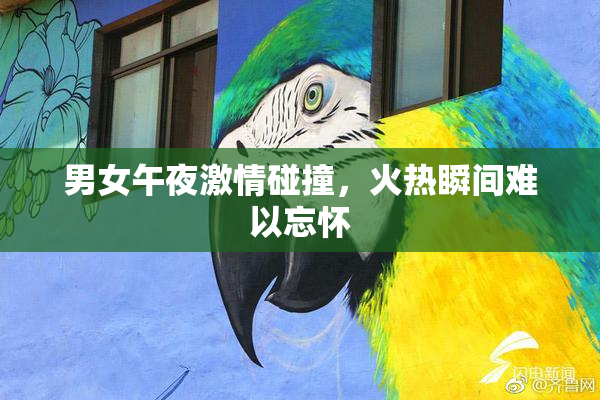 男女午夜激情碰撞，火热瞬间难以忘怀