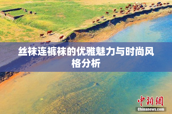丝袜连裤袜的优雅魅力与时尚风格分析