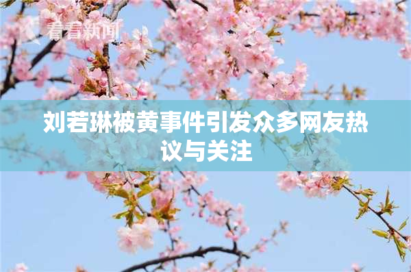 刘若琳被黄事件引发众多网友热议与关注