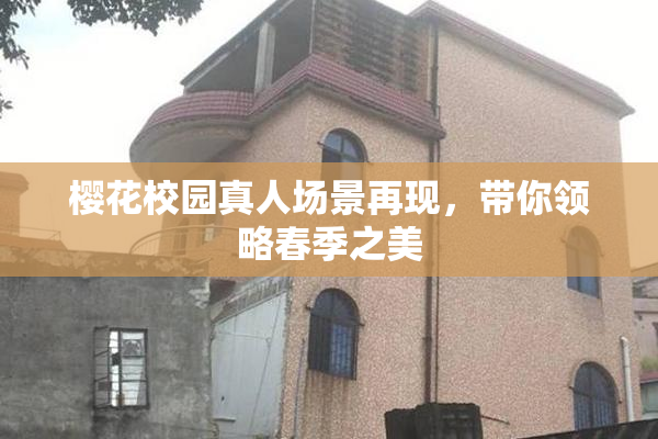 樱花校园真人场景再现，带你领略春季之美