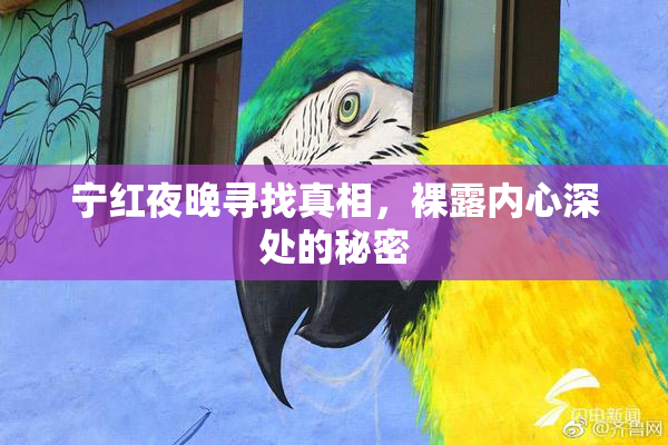 宁红夜晚寻找真相，裸露内心深处的秘密