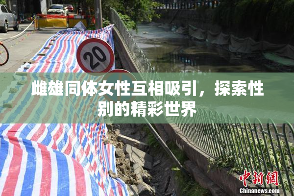 雌雄同体女性互相吸引，探索性别的精彩世界