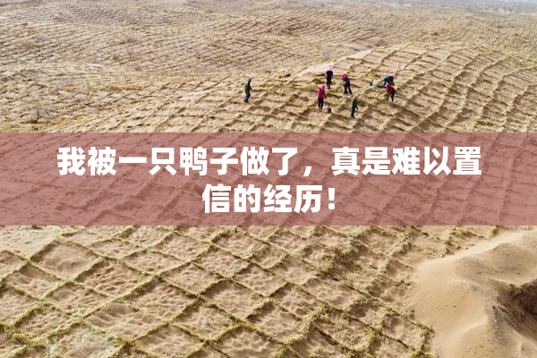 我被一只鸭子做了，真是难以置信的经历！