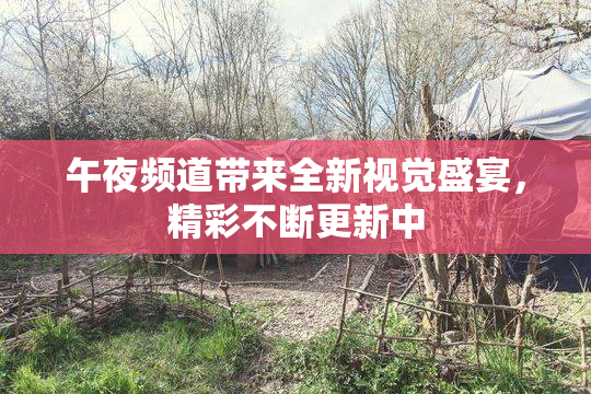 午夜频道带来全新视觉盛宴，精彩不断更新中